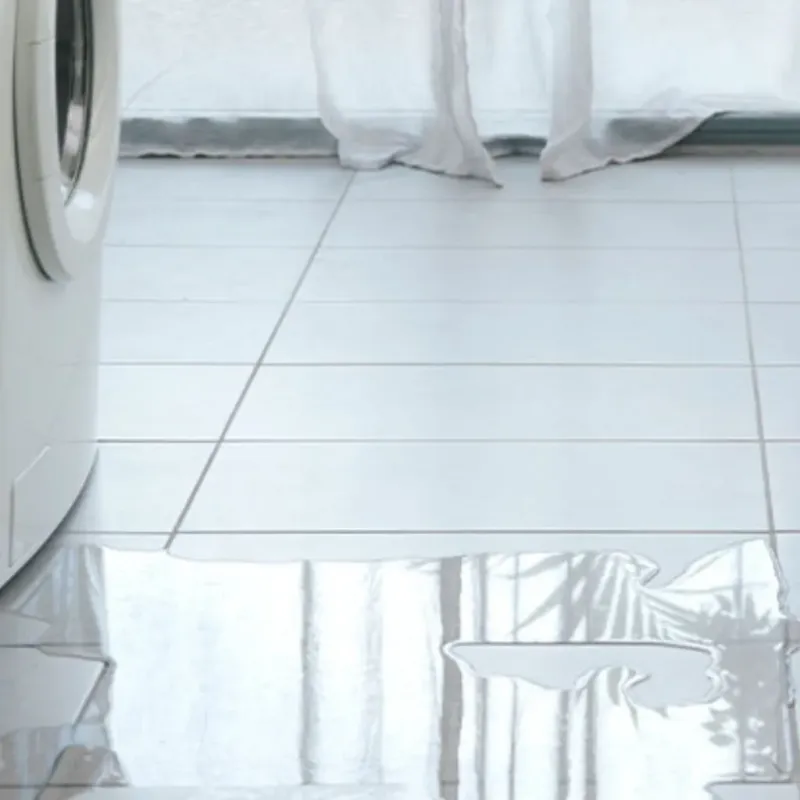 Appliance Leak Cleanup in Manasota Key, FL